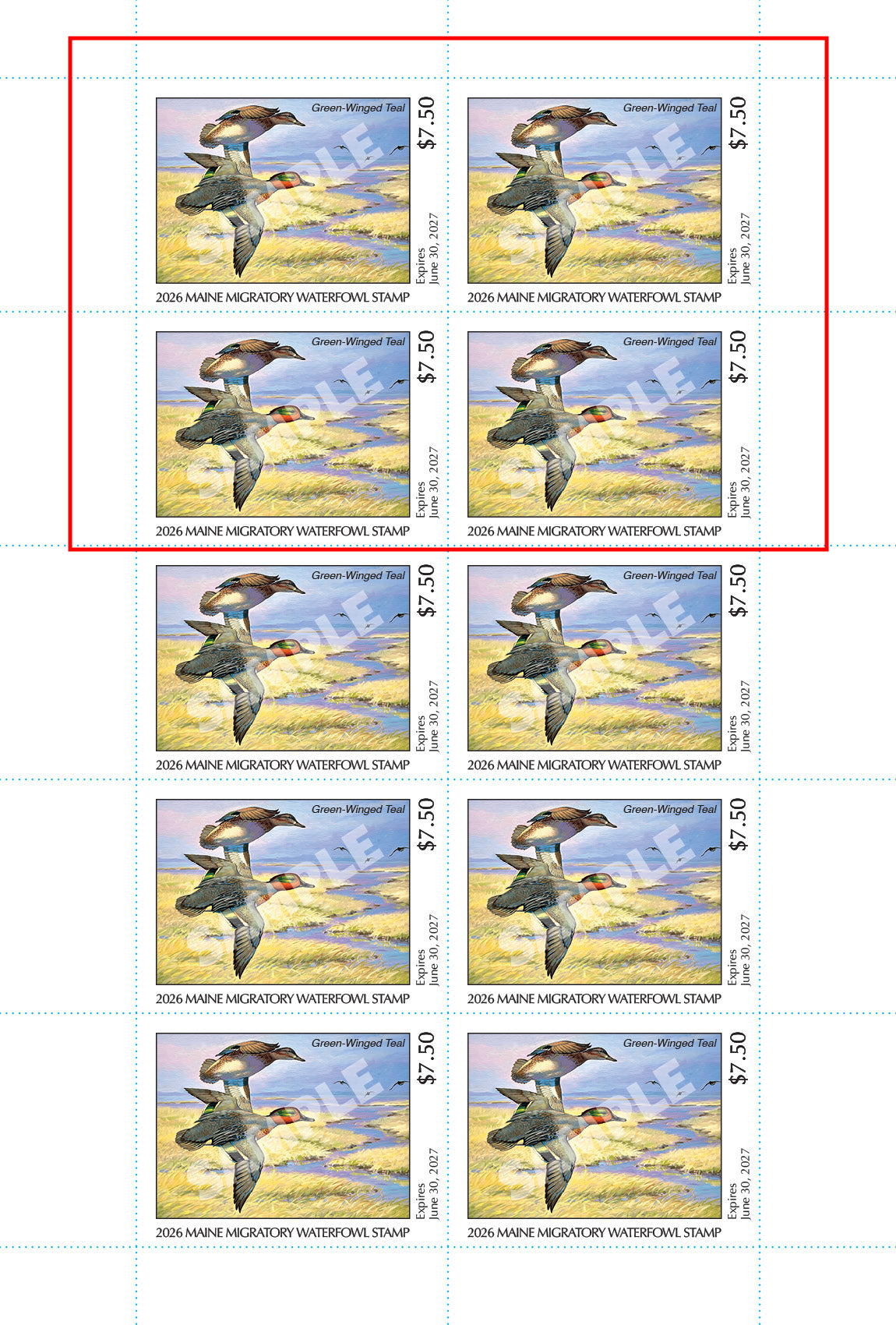 2026 Maine Duck Stamp - Collector's Item Only