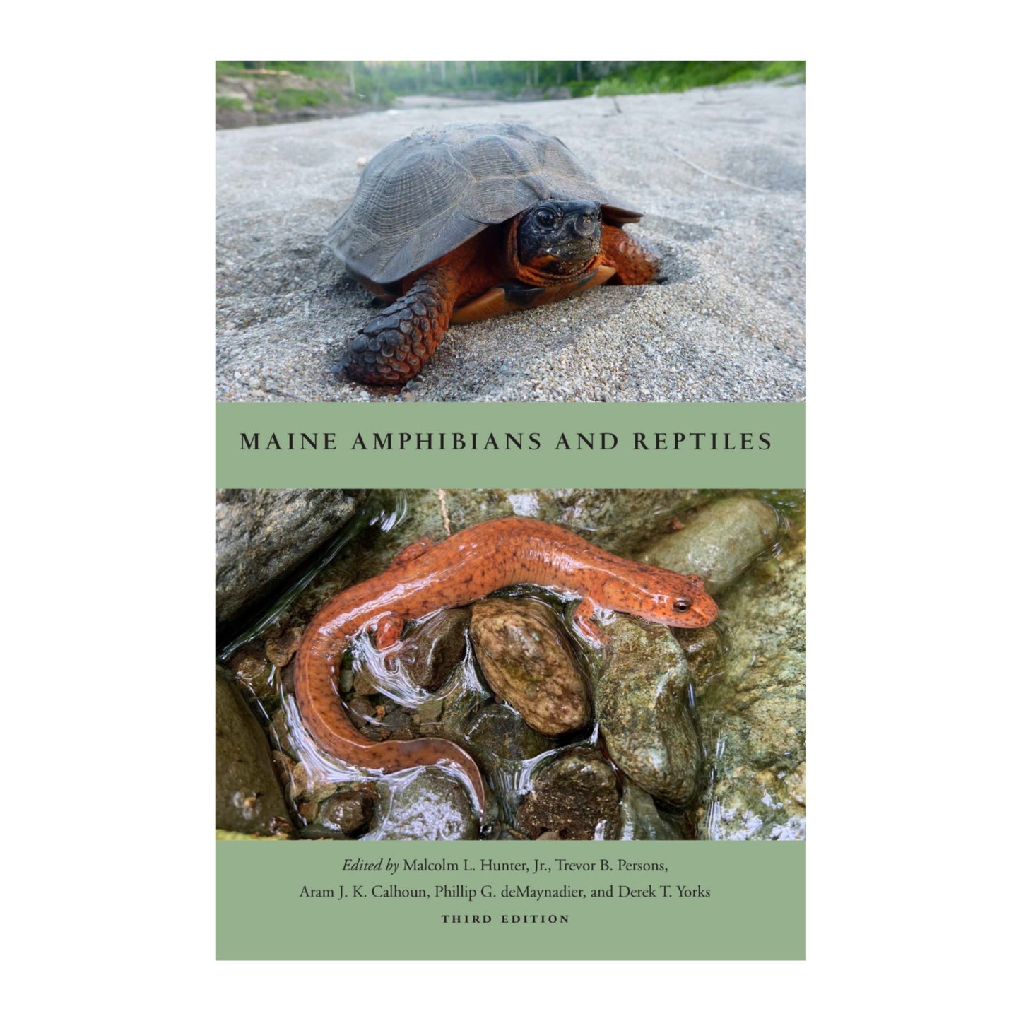 Maine Amphibians & Reptiles Book - 3rd Edition