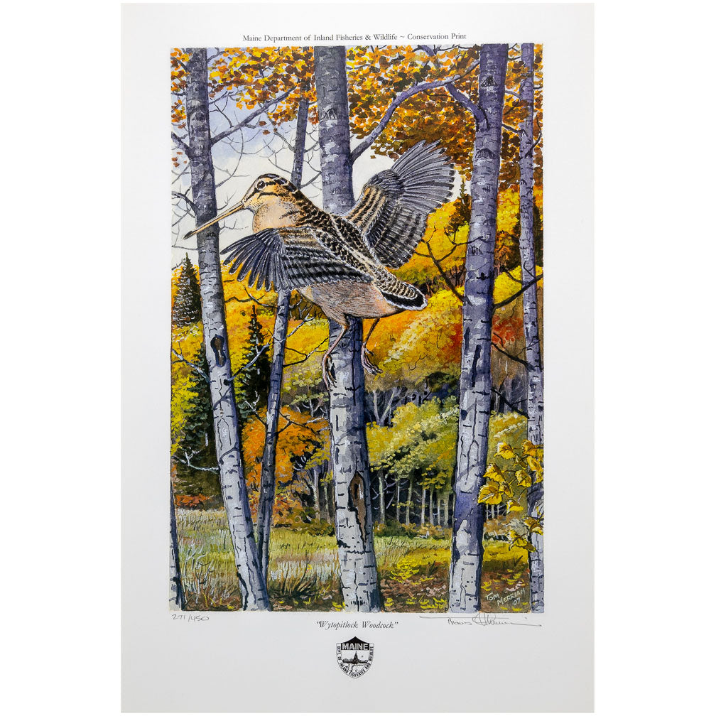 Prints, Wytopitlock Woodcock and Rangeley Grouse