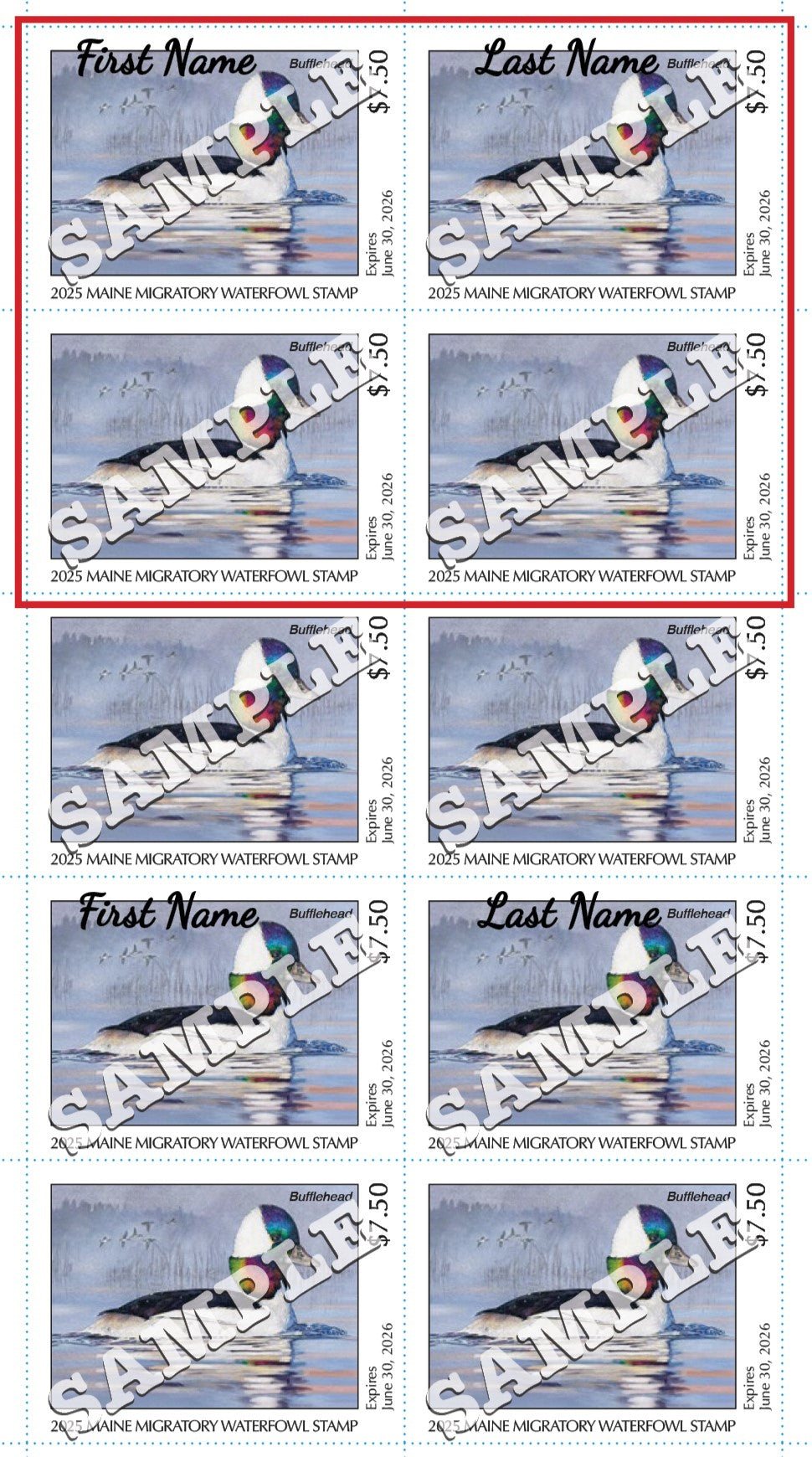 2025 Maine Duck Stamp - Collector's Item Only