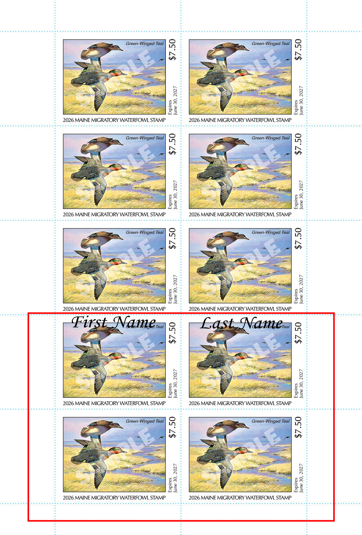 2026 Maine Duck Stamp - Collector's Item Only