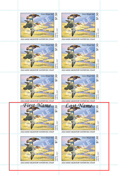 2026 Maine Duck Stamp - Collector's Item Only
