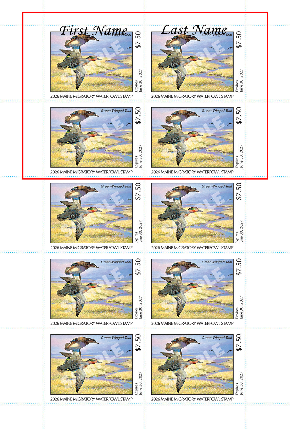 2026 Maine Duck Stamp - Collector's Item Only