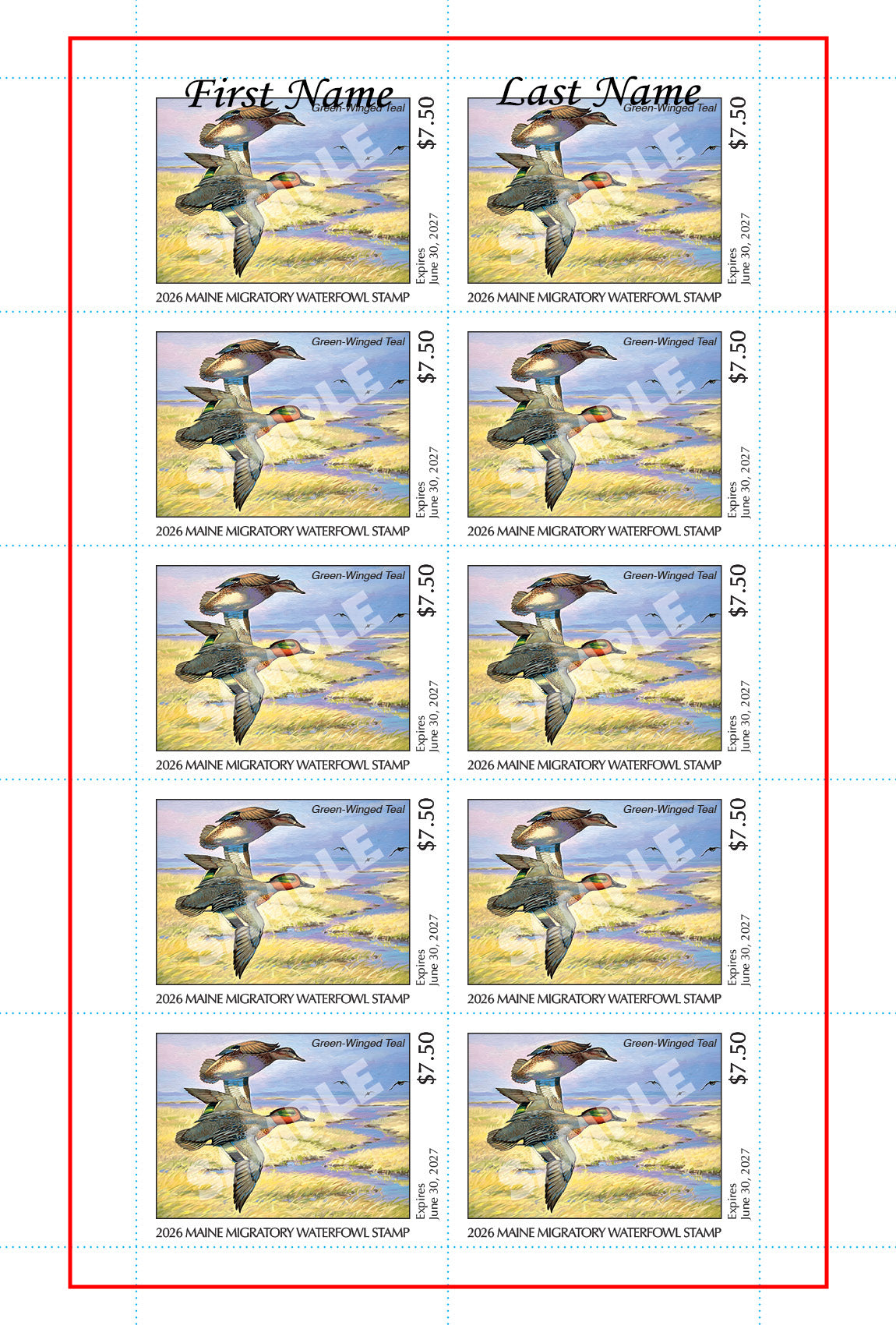 2026 Maine Duck Stamp - Collector's Item Only