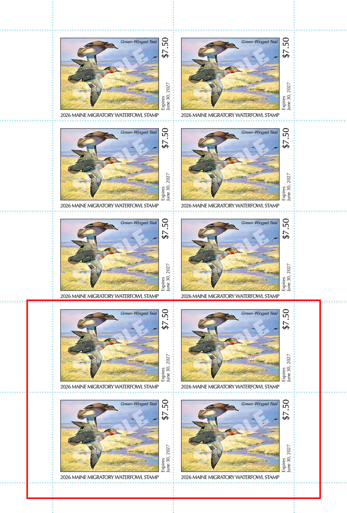 2026 Maine Duck Stamp - Collector's Item Only