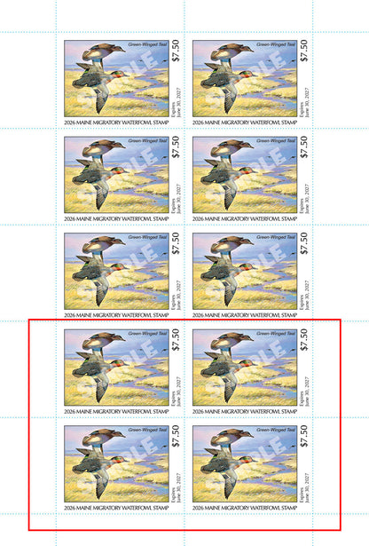 2026 Maine Duck Stamp - Collector's Item Only
