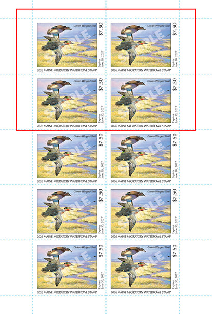2026 Maine Duck Stamp - Collector's Item Only