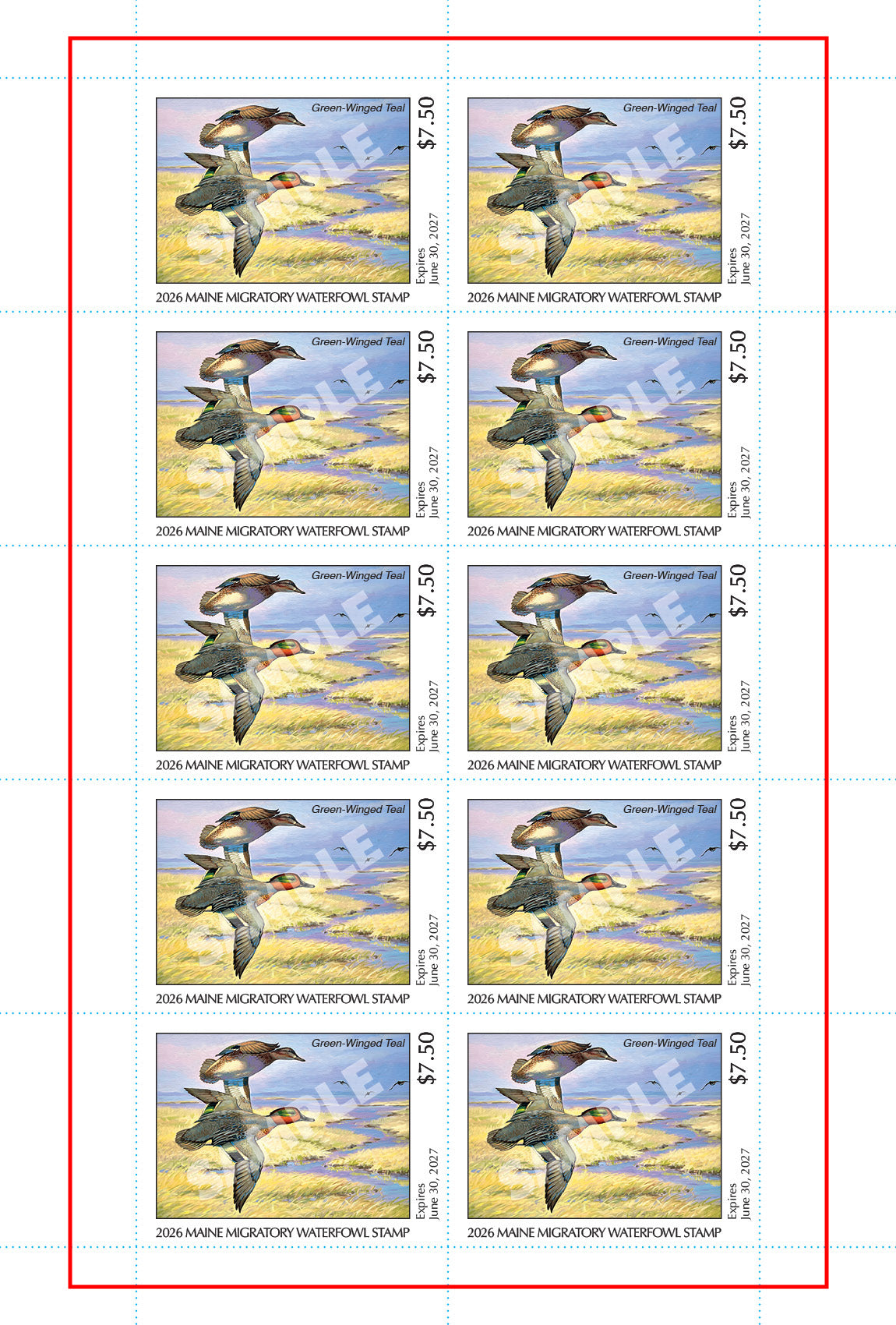 2026 Maine Duck Stamp - Collector's Item Only