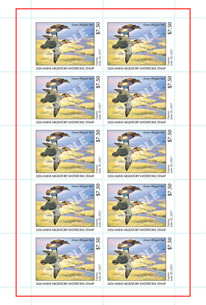 2026 Maine Duck Stamp - Collector's Item Only
