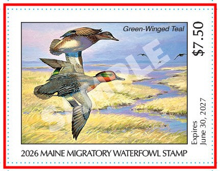 2026 Maine Duck Stamp - Collector's Item Only