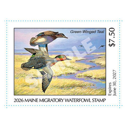2026 Maine Duck Stamp - Collector's Item Only