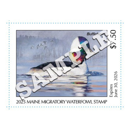 2025 Maine Duck Stamp - Collector's Item Only