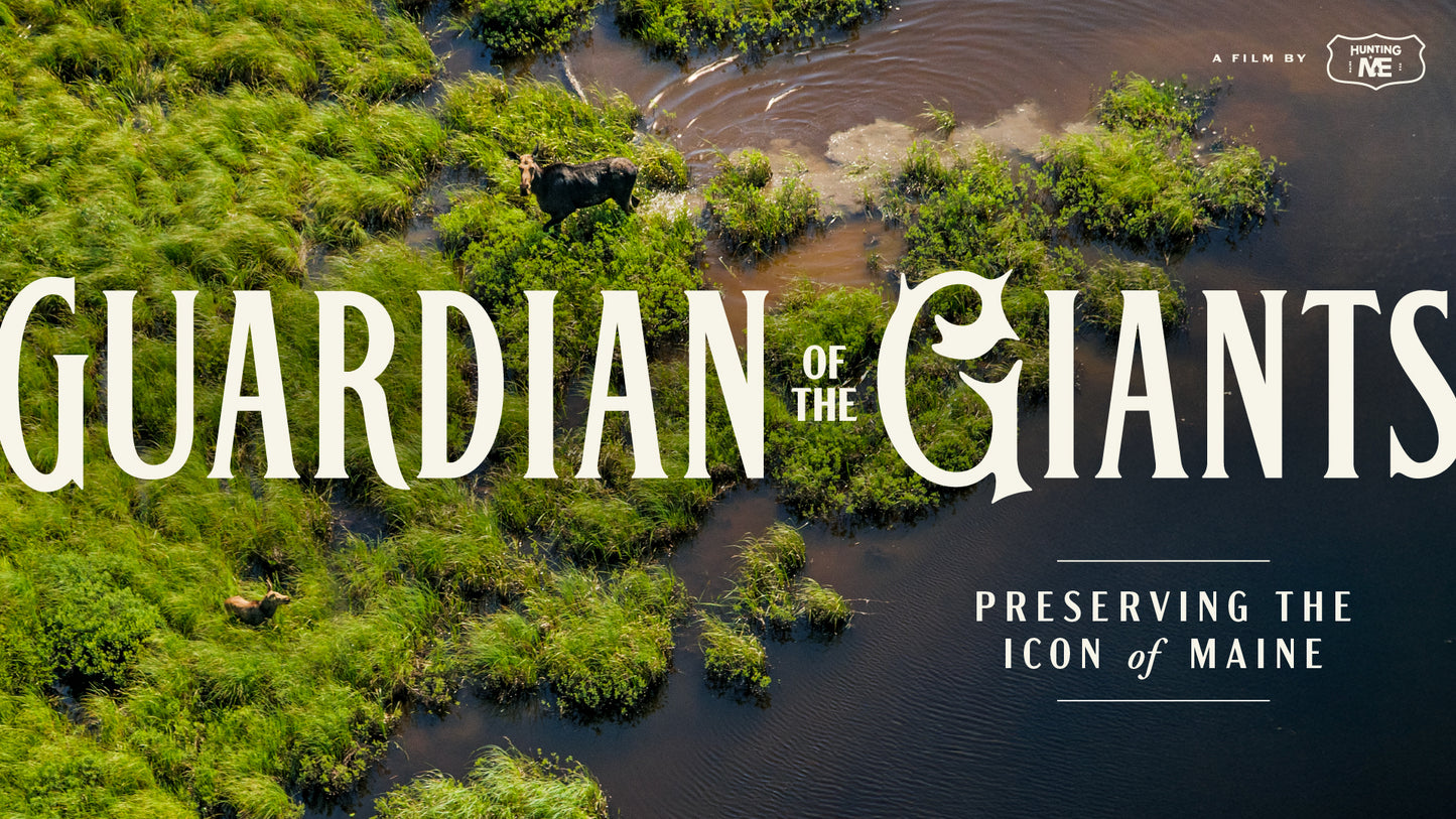 Guardian of the Giants Premiere
