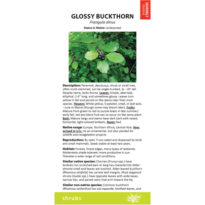 Maine Invasive Plants Field Guide