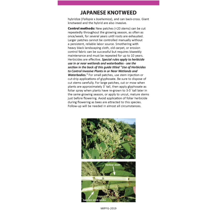 Maine Invasive Plants Field Guide