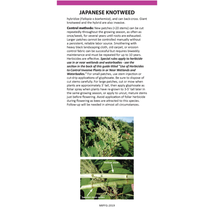 Maine Invasive Plants Field Guide