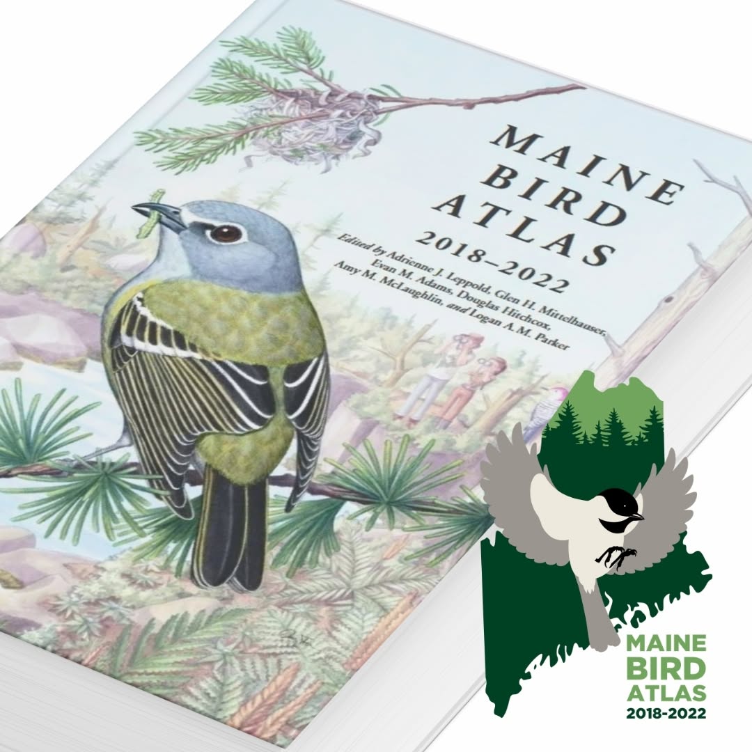 Maine Bird Atlas