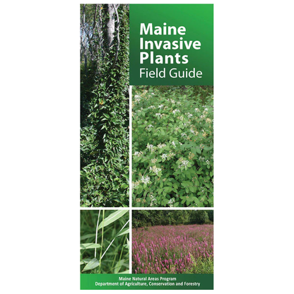 Maine Invasive Plants Field Guide