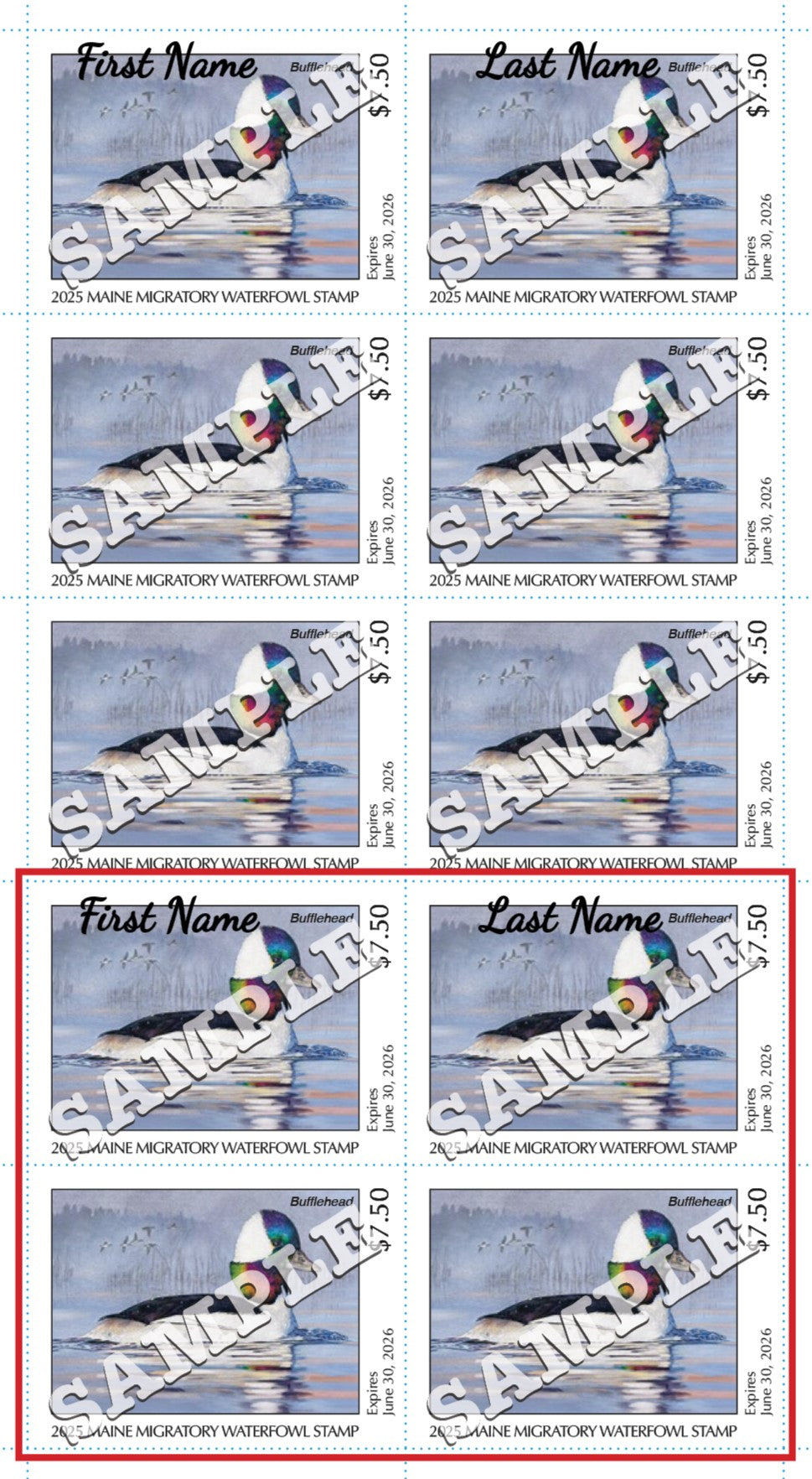 2025 Maine Duck Stamp - Collector's Item Only