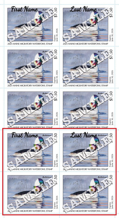 2025 Maine Duck Stamp - Collector's Item Only