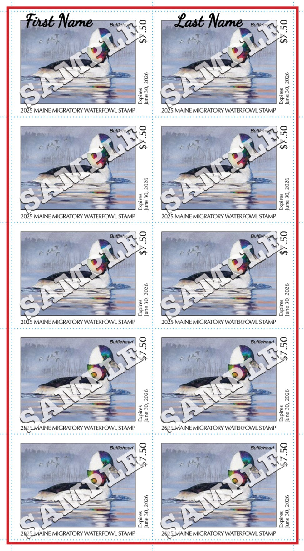 2025 Maine Duck Stamp - Collector's Item Only