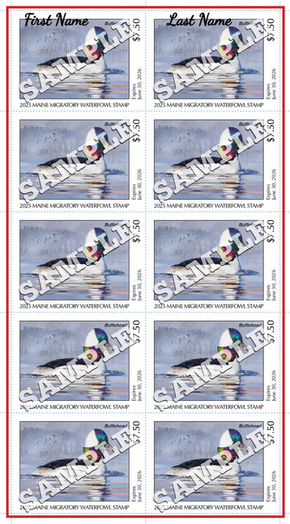 2025 Maine Duck Stamp - Collector's Item Only