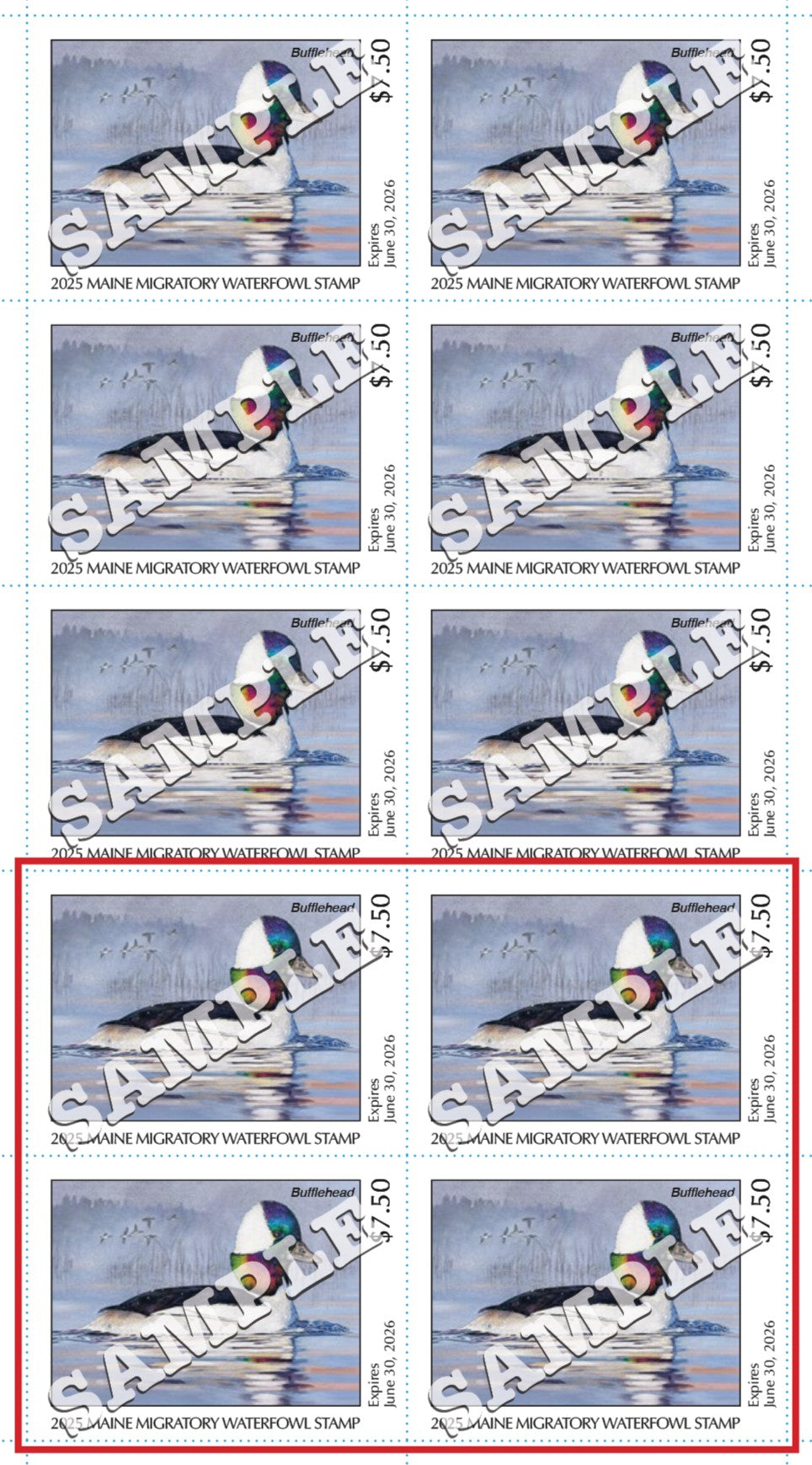 2025 Maine Duck Stamp - Collector's Item Only