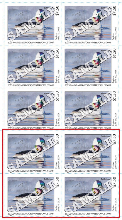 2025 Maine Duck Stamp - Collector's Item Only