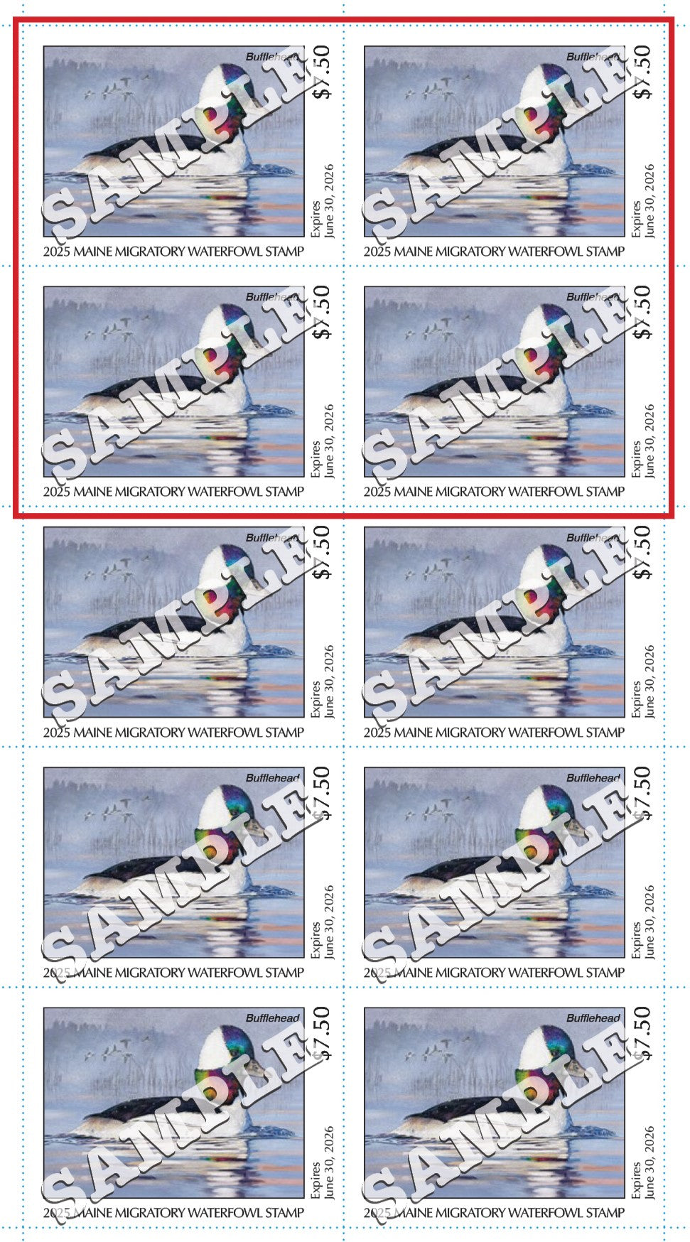2025 Maine Duck Stamp - Collector's Item Only