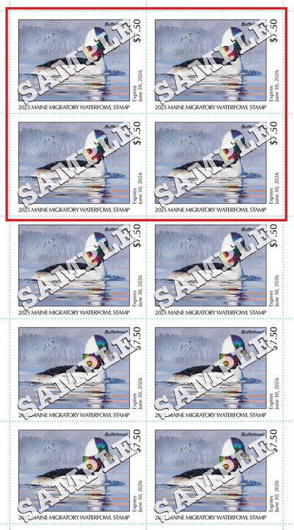 2025 Maine Duck Stamp - Collector's Item Only