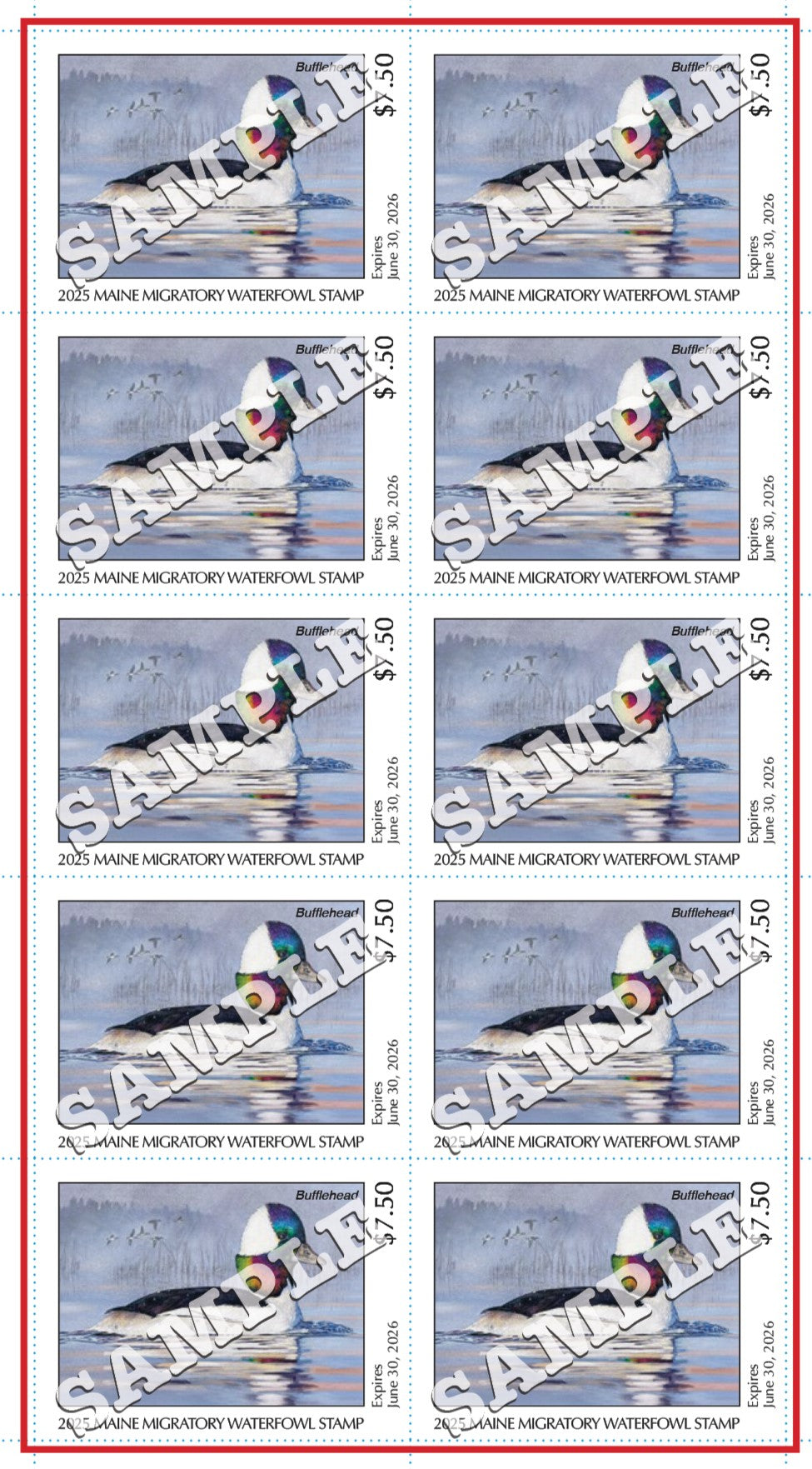 2025 Maine Duck Stamp - Collector's Item Only