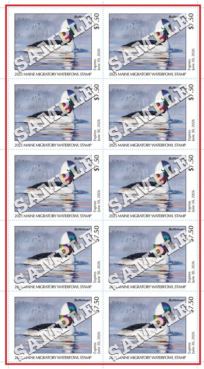 2025 Maine Duck Stamp - Collector's Item Only