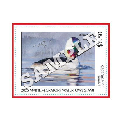 2025 Maine Duck Stamp - Collector's Item Only